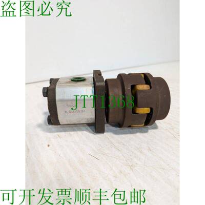 原装供应Pedro Roquet 1L05DC0 1R 液压泵 9952L -