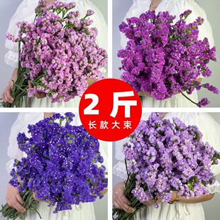 云南天然风干干花花束勿忘我真花装饰摆件客厅大束插花满天星批发