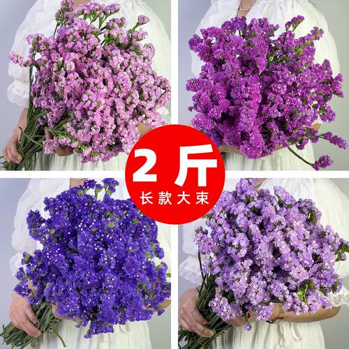云南天然风干干花花束勿忘我真花装饰摆件客厅大束插花满天星批发