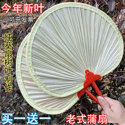 夏季老式蒲扇纯手工木柄扇子老人葵扇芭蕉扇烧烤凉扇大蒲扇舞蹈扇