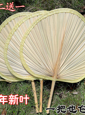 纯手工葵叶蒲扇轻巧风大买一送一