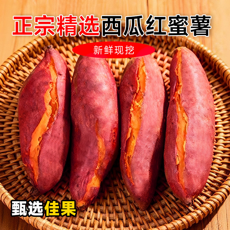 广东正宗西瓜红蜜薯新鲜现挖烤红薯沙地种植番薯软糯香甜糖心地瓜