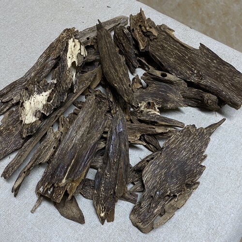 【海南黑油沉香虫漏】 黑油天然沉香虫漏眼 沉香虫漏沉香香熏香料