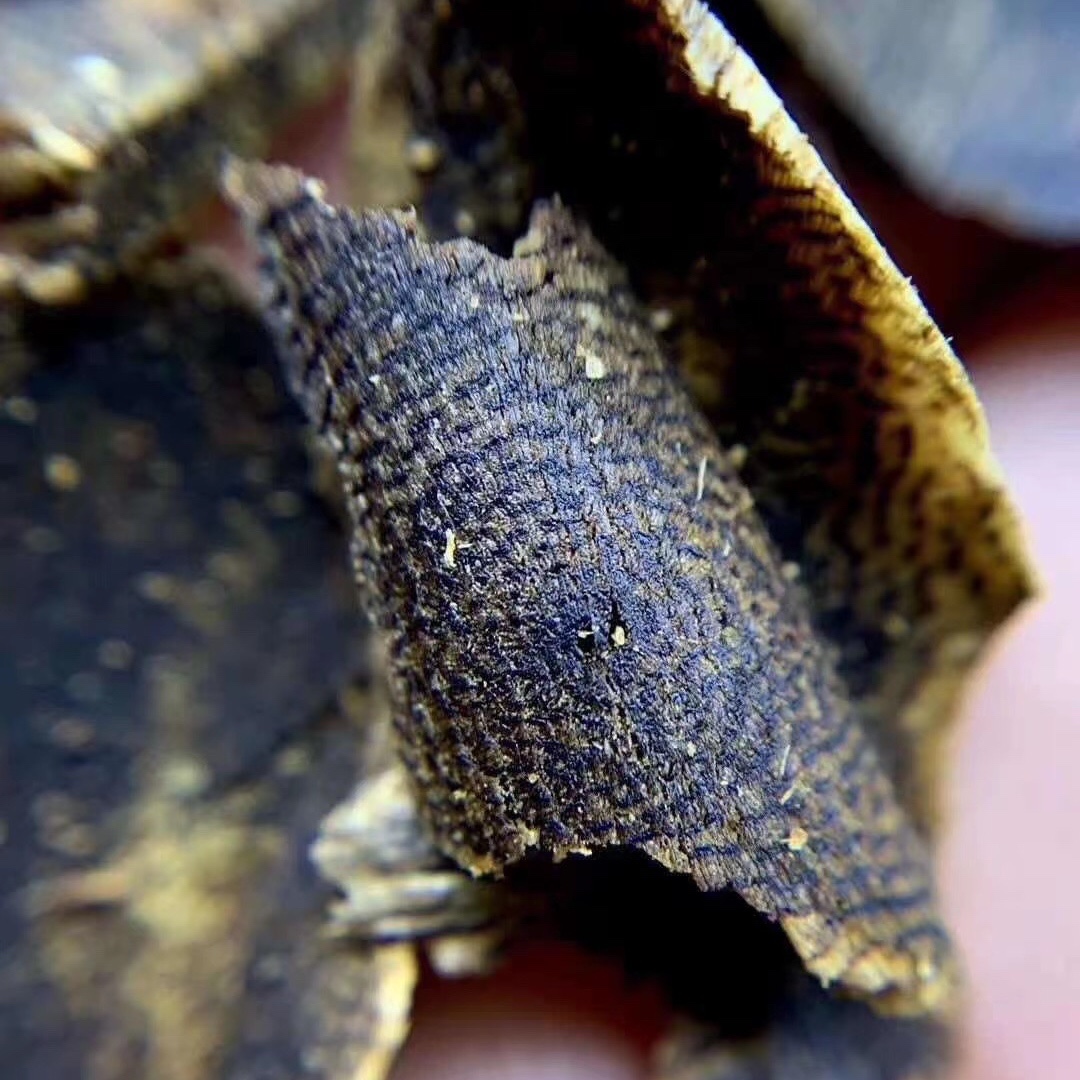 紫奇楠全油切片棋楠原木熏香有一半沉水海南棋楠沉香切片高油老料