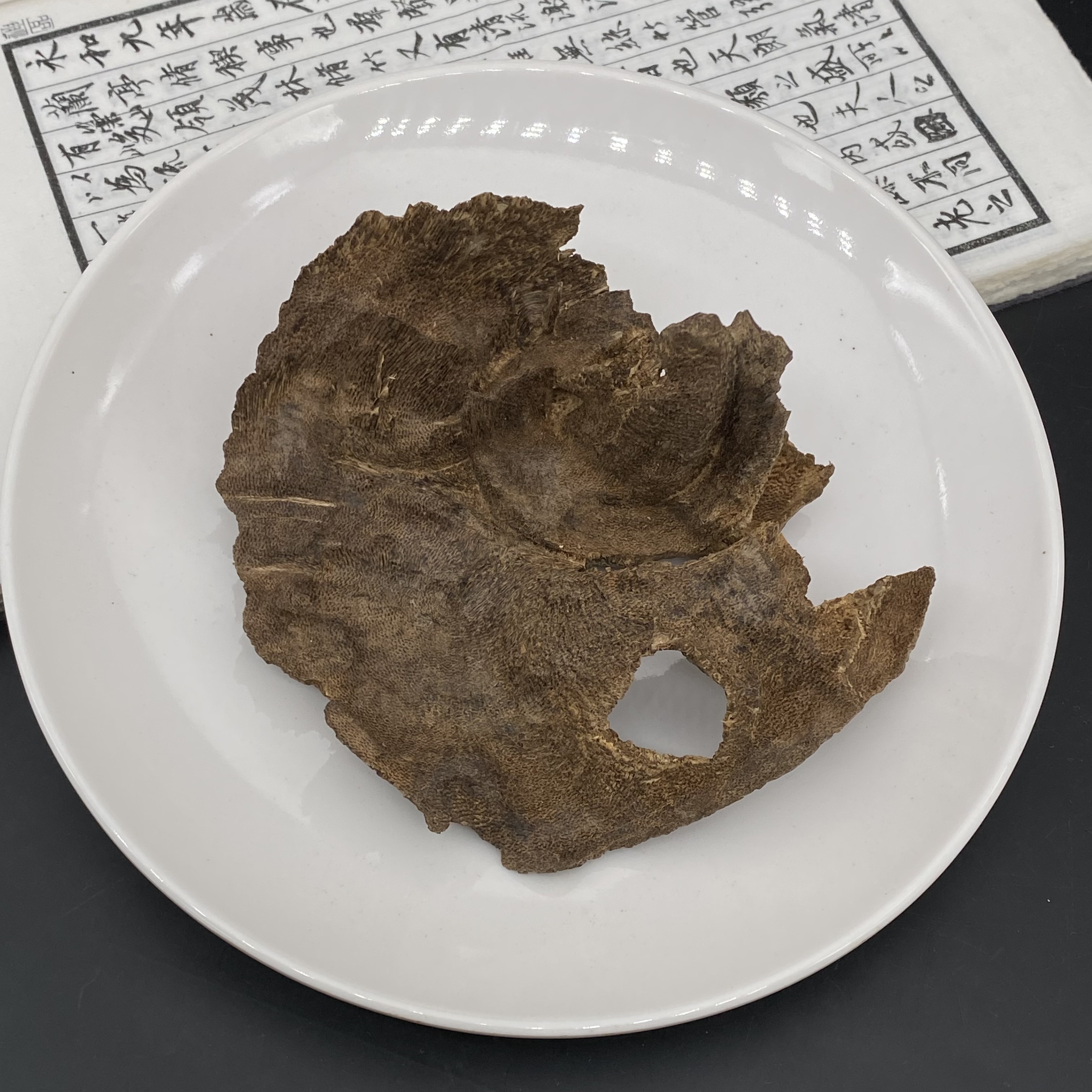 海南尖峰岭沉水包头沉香 琼脂香 沉水包头料  甜味花香蜜香味浓郁