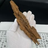 实心原材奶香带凉 达拉干扭结沉香树心油 九九分沉水品质 高品质