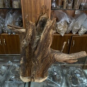 海南尖峰岭黄油格沉香摆件 厚实料 近闻香韵醇厚花香芬芳甘凉甜蜜