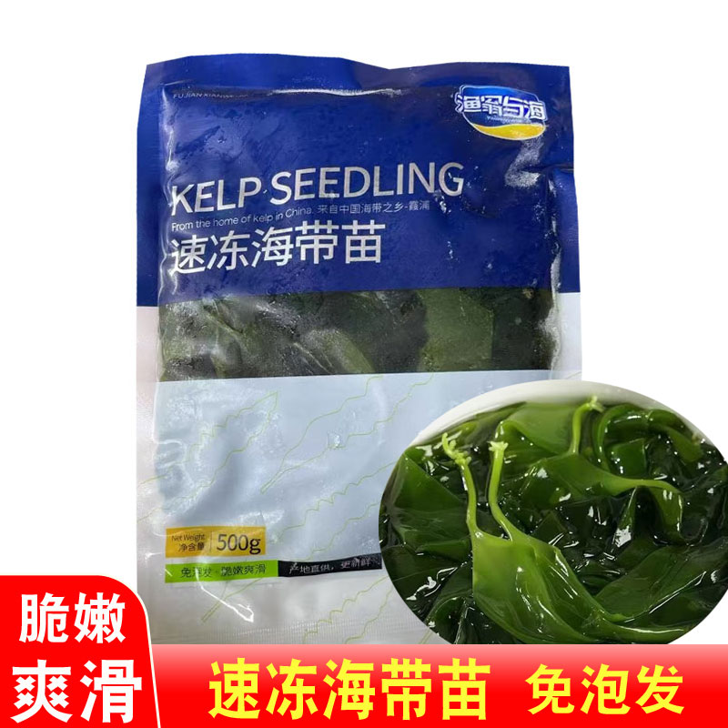 霞浦渔翁与海速冻海带嫩苗500g