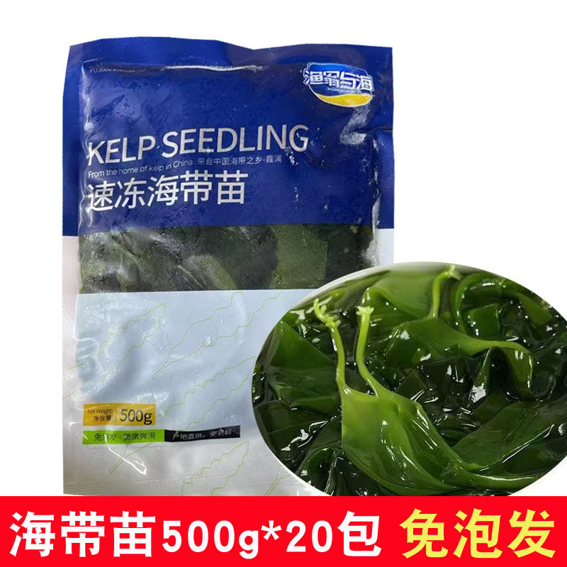 霞浦速冻海带苗500g*20包商用