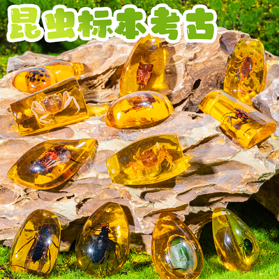 儿童考古挖掘化石琥珀昆虫精灵