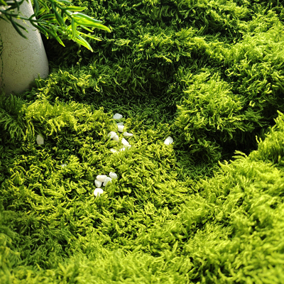 仿真苔藓布料人工草地沙盘圆桌