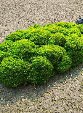 仿真苔藓块小山丘草皮草坪地毯假草青苔人工草地造景厨窗布置垫子