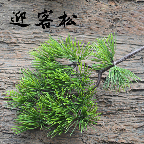 仿真五针松叶子松树枝松针松叶树枝假松枝塑料小枝条假树枝干装饰