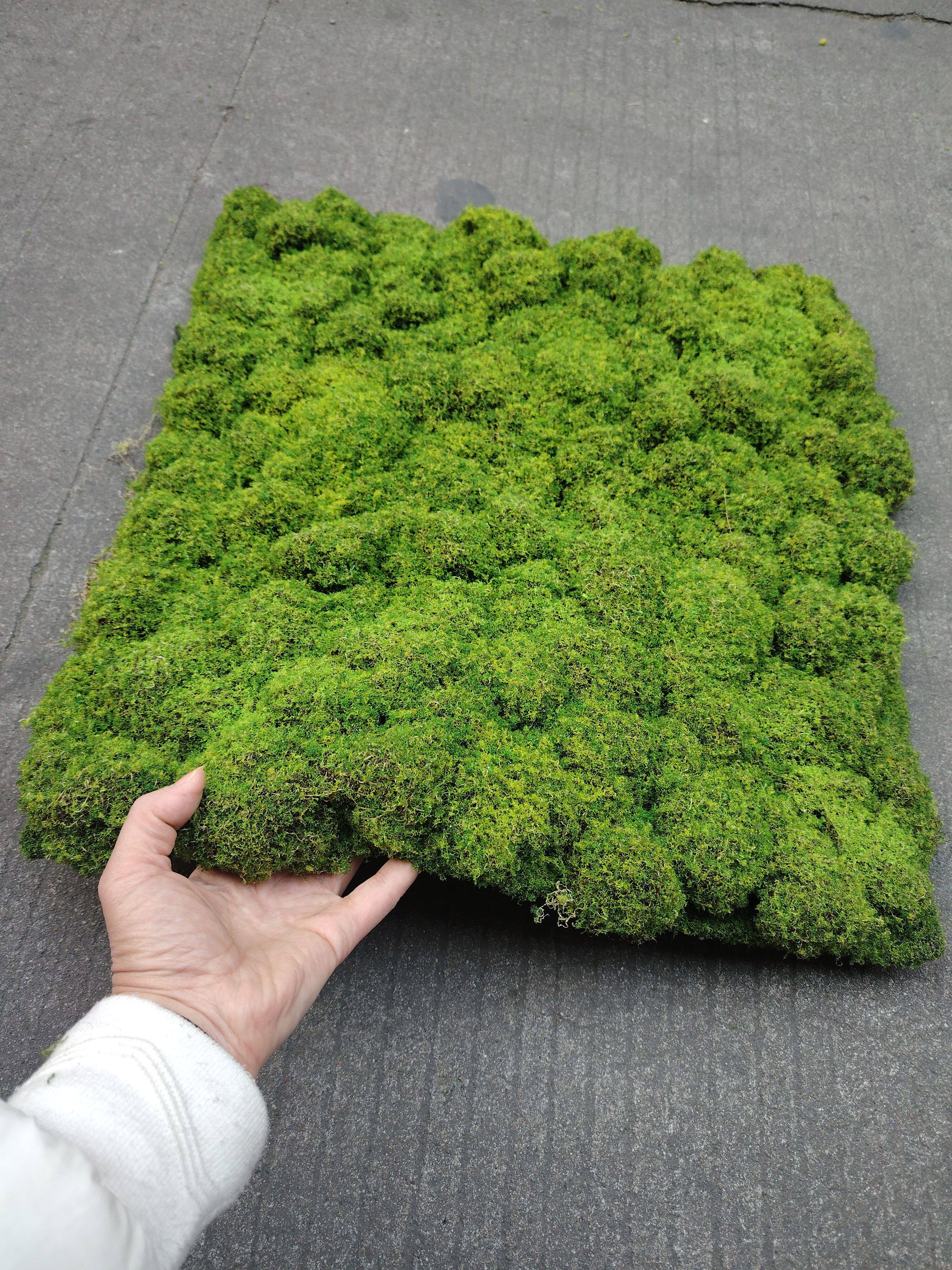人造苔藓草坪假青苔草皮苔癣墙面绿化墙上仿生造景装饰仿真苔藓球