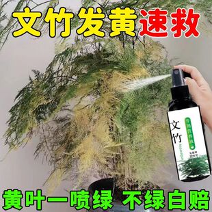 通用免盆栽水土稀释培花养花肥文竹植物专用肥液体营养液肥料家用