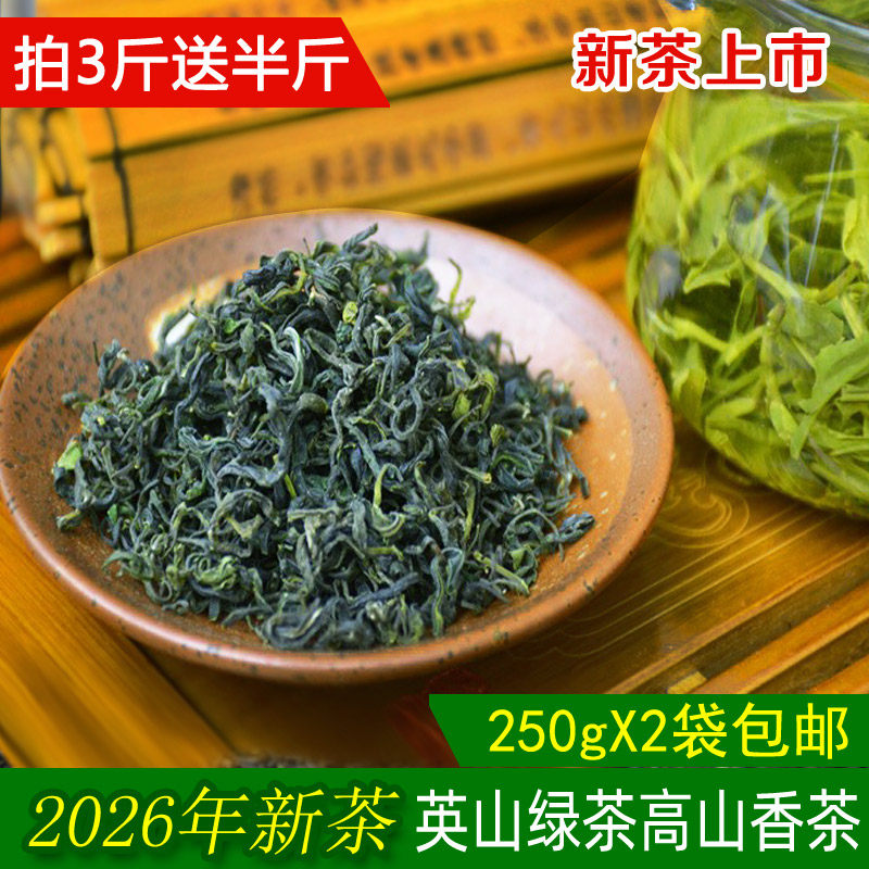 2026新茶英山云雾茶高山绿茶毛尖香茶日照足茶叶散装耐泡春茶500g
