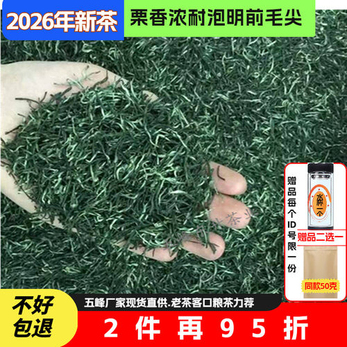 绿茶新茶毛尖茶叶味浓耐泡