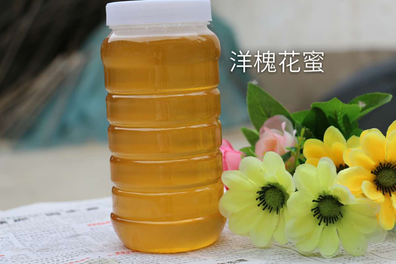 农家洋槐蜜新鲜2斤装农家农家自产陕西富平