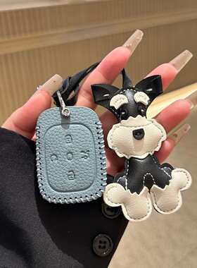 25款极狐T1钥匙套PRO北汽PLUSMAX钥匙套ARCFOX保护包壳扣雪纳瑞女