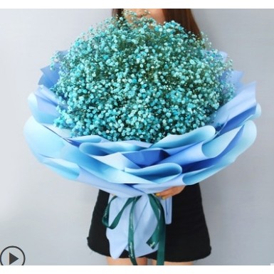 湘潭县河口射埠镇花石镇青山桥镇石鼓镇鲜花店母亲节速递玫瑰花束