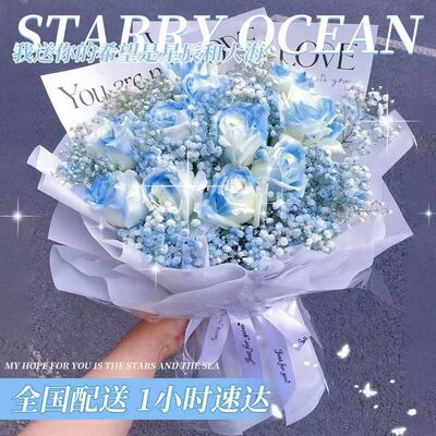 三亚海棠吉阳天涯崖州区乐东抱由