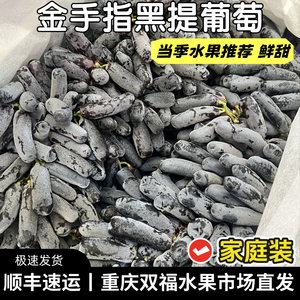 金手指黑提葡萄2斤3斤5斤