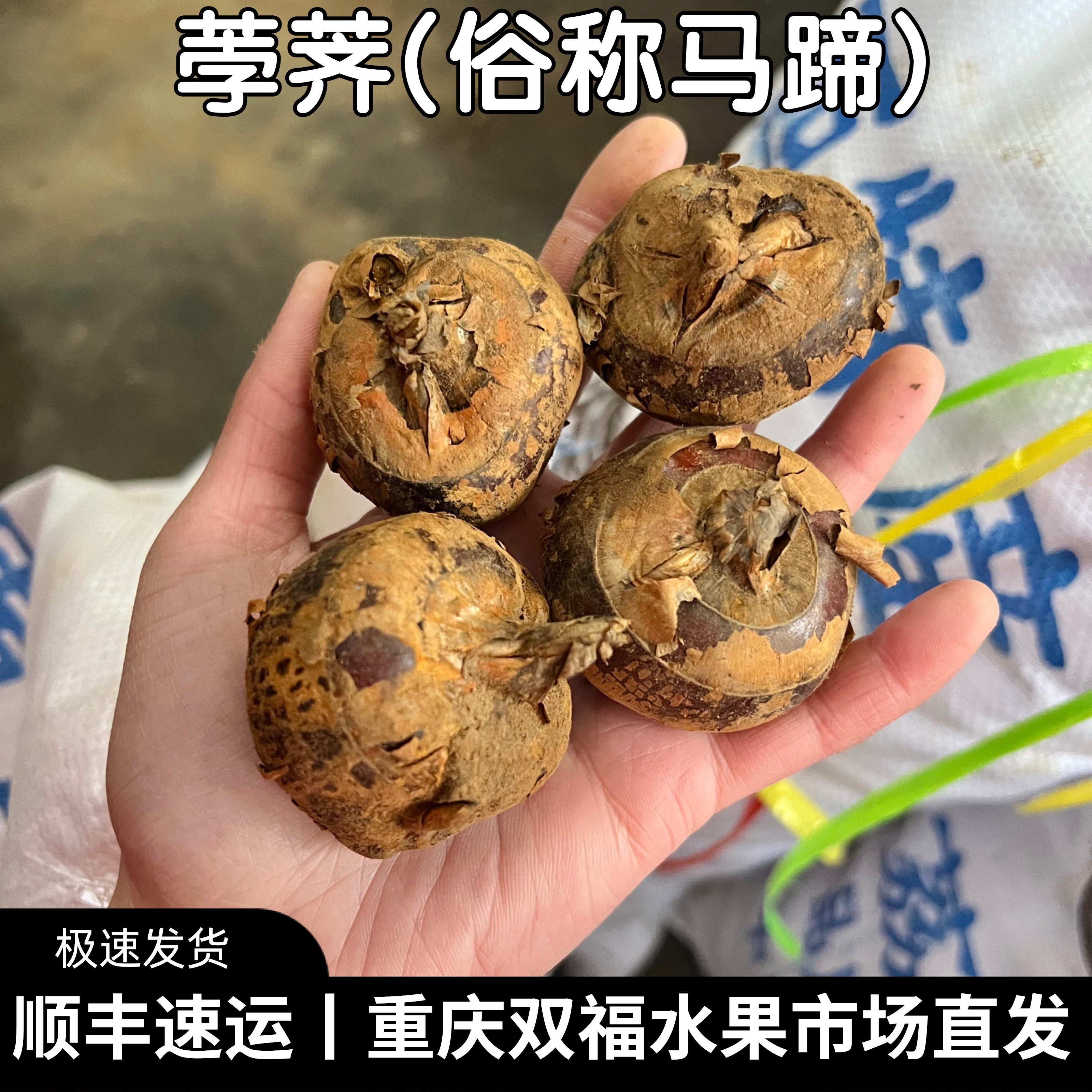 广西荔浦新鲜荸荠/马蹄家庭装5斤10斤 脆甜 重庆双福发货顺丰,水产肉类/新鲜蔬果/熟食,荸荠/马蹄,淘宝优惠券,粉丝福利购,淘宝优惠卷