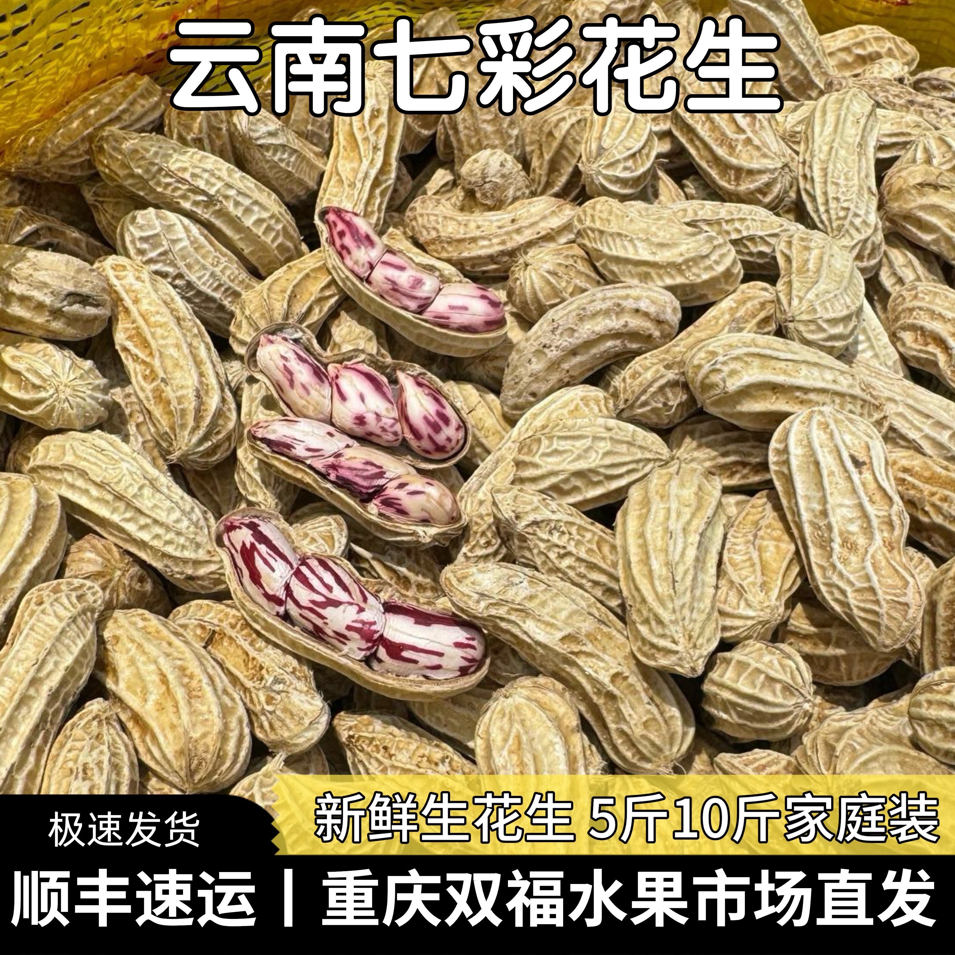 云南七彩花生新鲜生花生3斤5斤8斤10斤家庭装 新鲜花生 双福发货