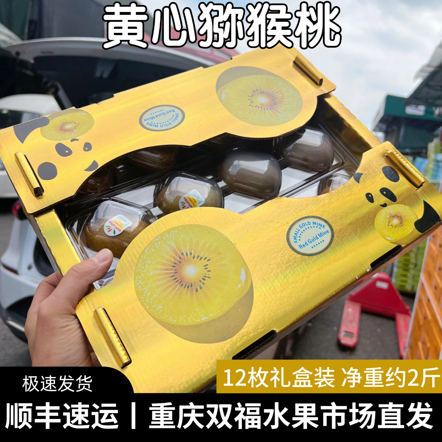 黄心猕猴桃12枚金色礼盒装送礼伴手礼新鲜水果重庆双福发货顺丰