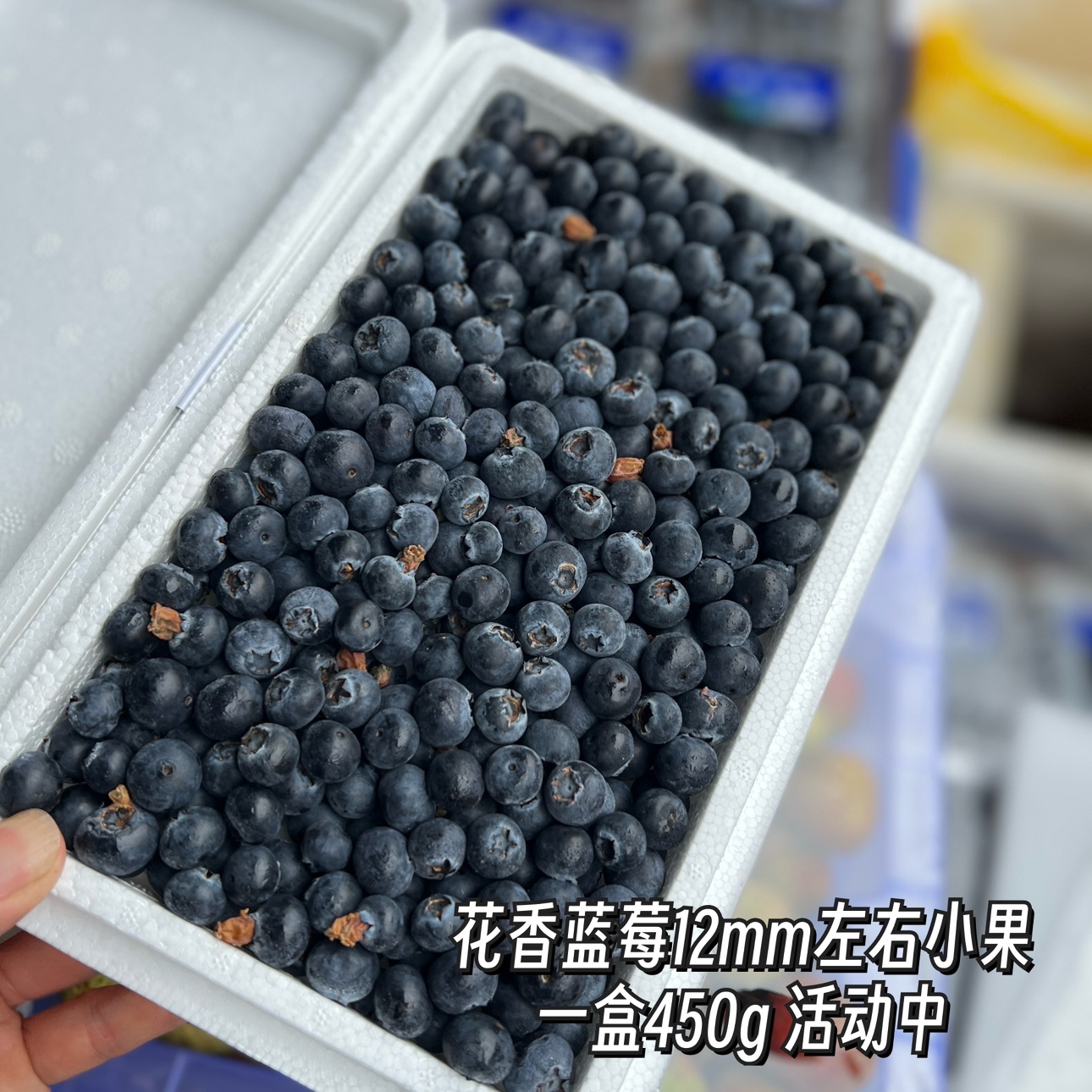 花香蓝莓450g/盒新鲜水果