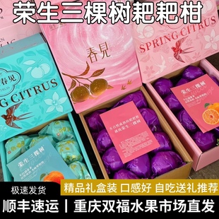 荣生三棵树春见耙耙柑精品礼盒装年货送礼当季水果柑橘重庆双福