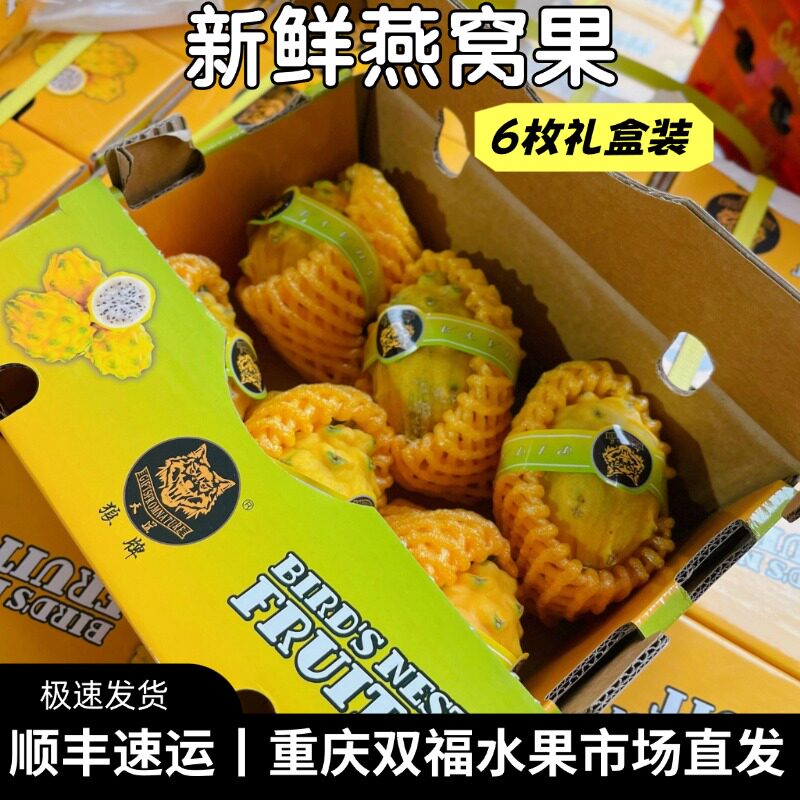 燕窝果6枚礼盒装麒麟果端午送礼伴手礼不是黄色火龙果重庆双福