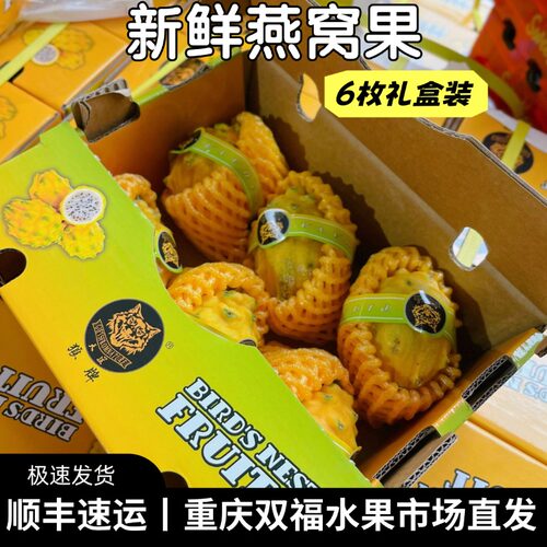 燕窝果6枚礼盒装麒麟果端午送礼伴手礼不是黄色火龙果重庆双福