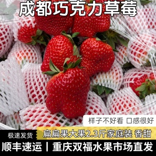 顺丰成都巧克力草莓扁扁果大果家庭装丑草莓当季新鲜水果重庆双福