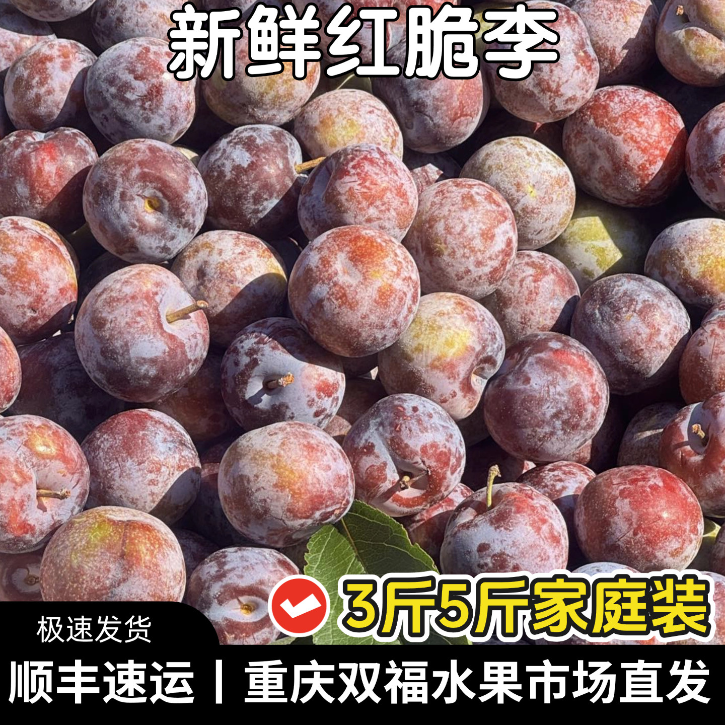 新鲜红脆李3斤5斤中大果家庭装脆甜微果酸当季水果李子重庆双福1