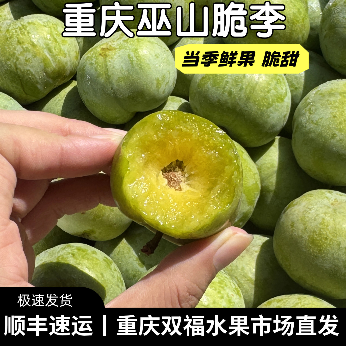 重庆巫山脆李大果2斤3斤5斤