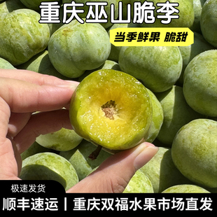 重庆巫山脆李2斤3斤5斤家庭装脆甜水果新鲜当季整箱双福顺丰