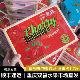 铭珠广东电白千禧小番茄小礼盒装净重约1.7斤新鲜小西红柿双福