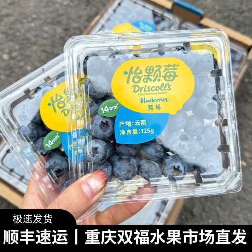 Driscoll's云南怡颗莓蓝莓