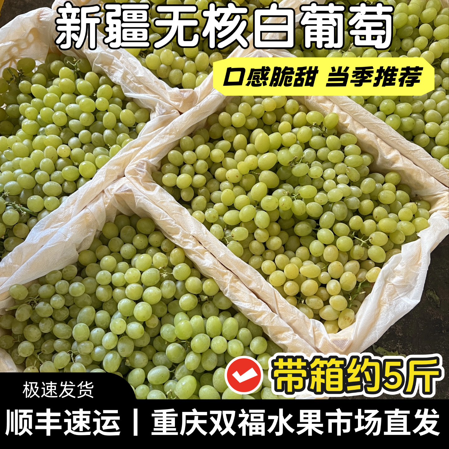 新疆无核白葡萄带箱约5斤