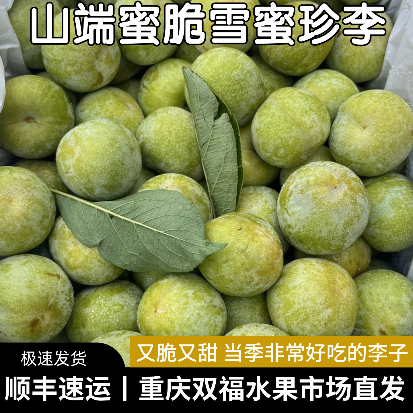 山端蜜脆雪蜜珍李上新~又脆又甜的李子2斤3斤5斤当季水果重庆双福