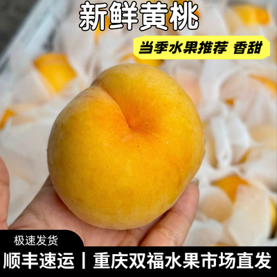 脆软2吃的桃子~新鲜黄桃