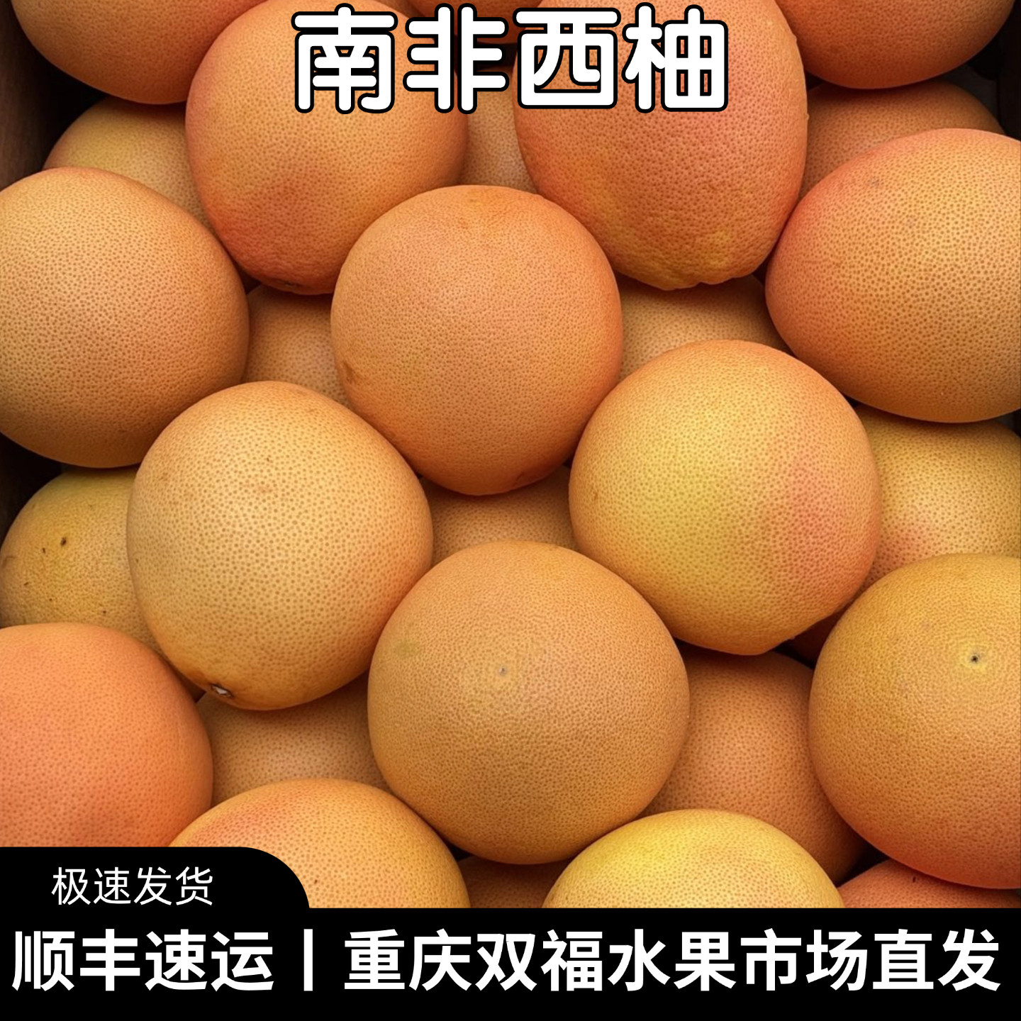南非进口西柚5个10个单果约7-8两酸甜多汁新鲜水果小柚子重庆双福