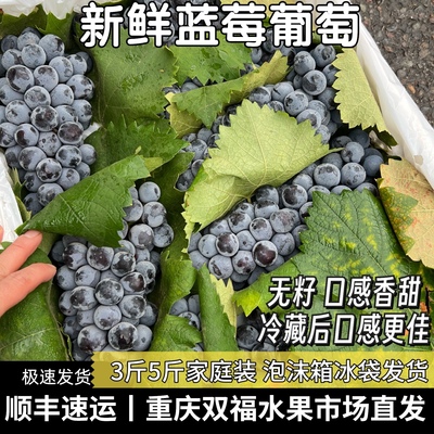 蓝莓葡萄3斤5斤家庭装新鲜水果