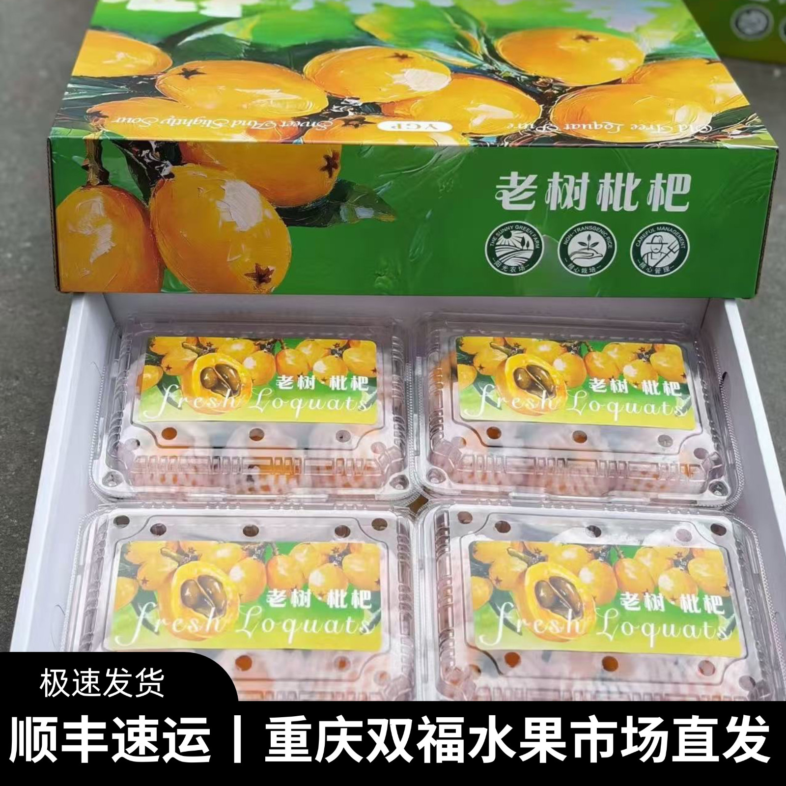 老树枇杷精品礼盒装当季应季新鲜水果甜度高琵琶重庆双福发货顺丰