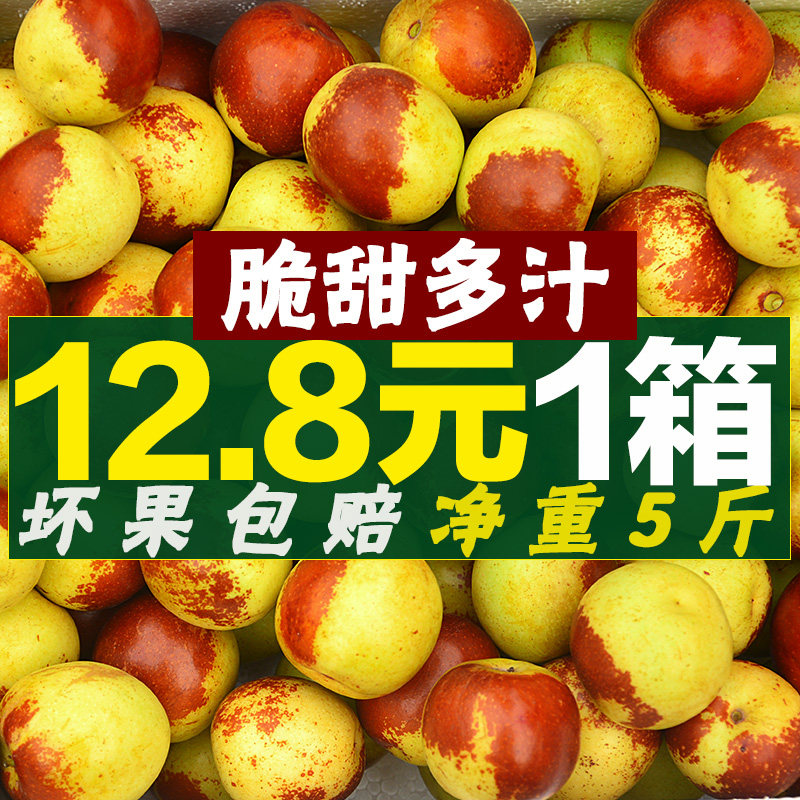【脆甜冬枣畅销榜单推荐产品】