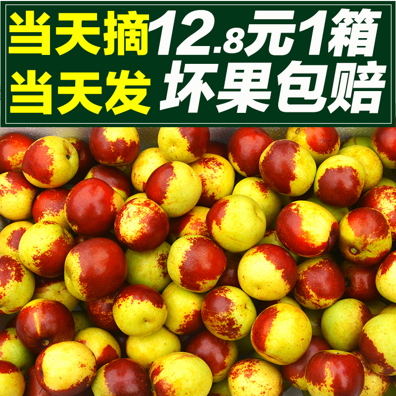 【山东沾化冬枣畅销榜单推荐】