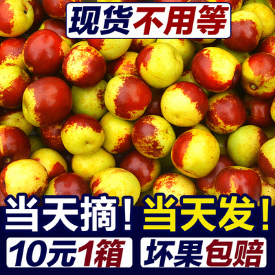 【沾化冬枣畅销榜单前三】