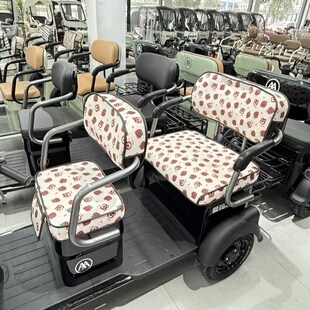 雅迪c16c18Cl9爱玛乐享乐维星空星瀚电动三轮车坐垫套罩四季 通用