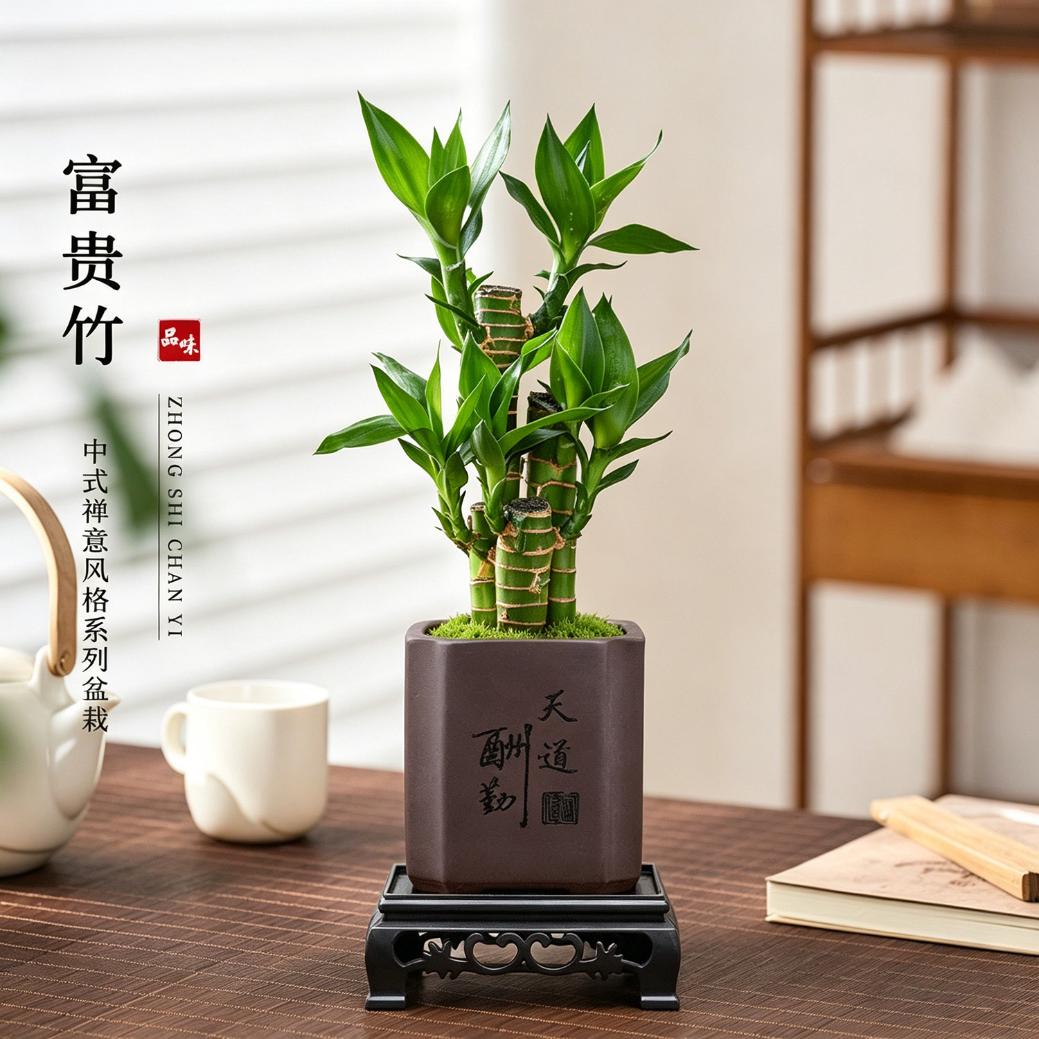 富贵竹5棵室内植物节节高桌面绿植好养步步高文昌竹客厅招财盆栽